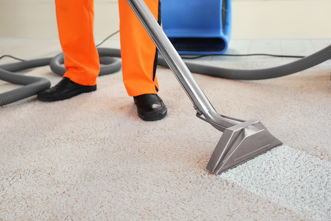 chem-dry-all-you-need-for-carpet-cleaning