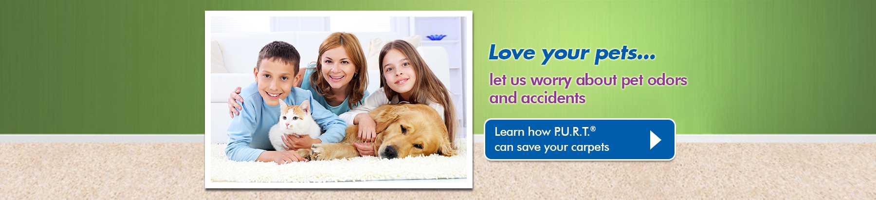 Pet Urine Odour Removal